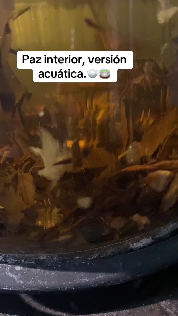 @Tips naturales