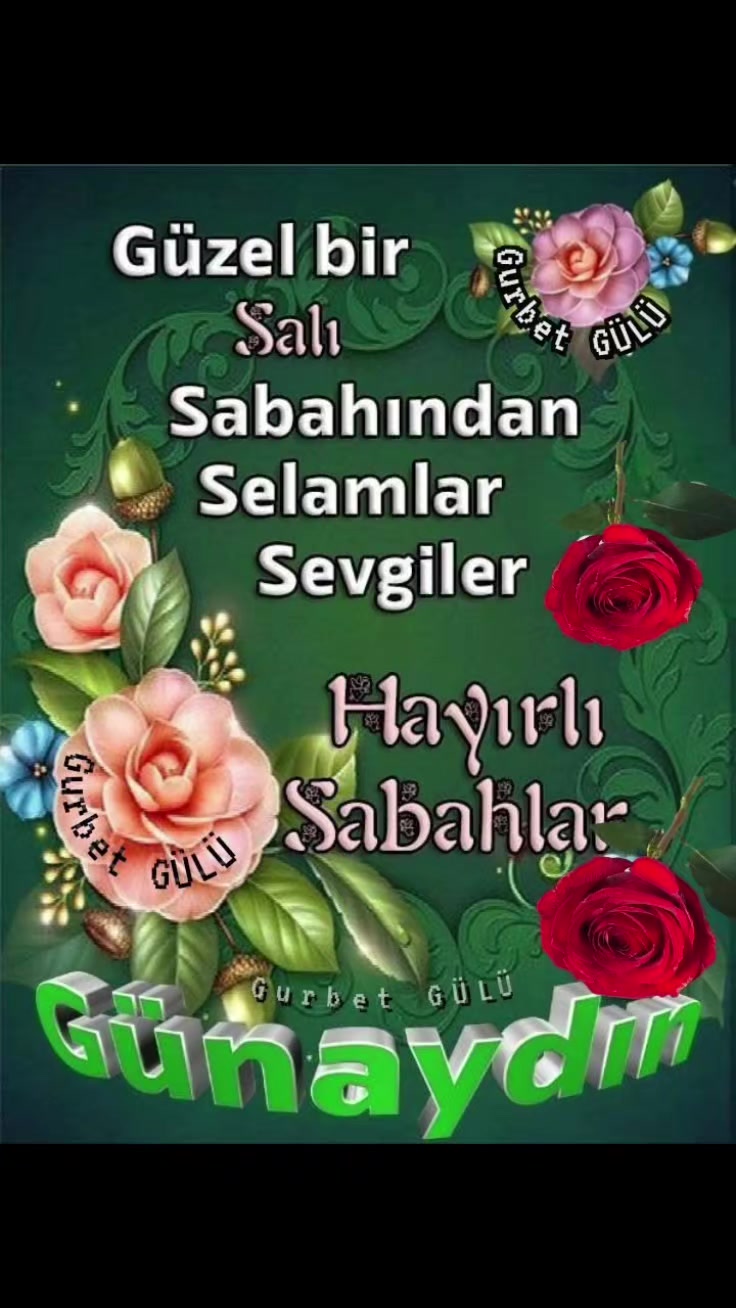 @MEVLÜT 0816