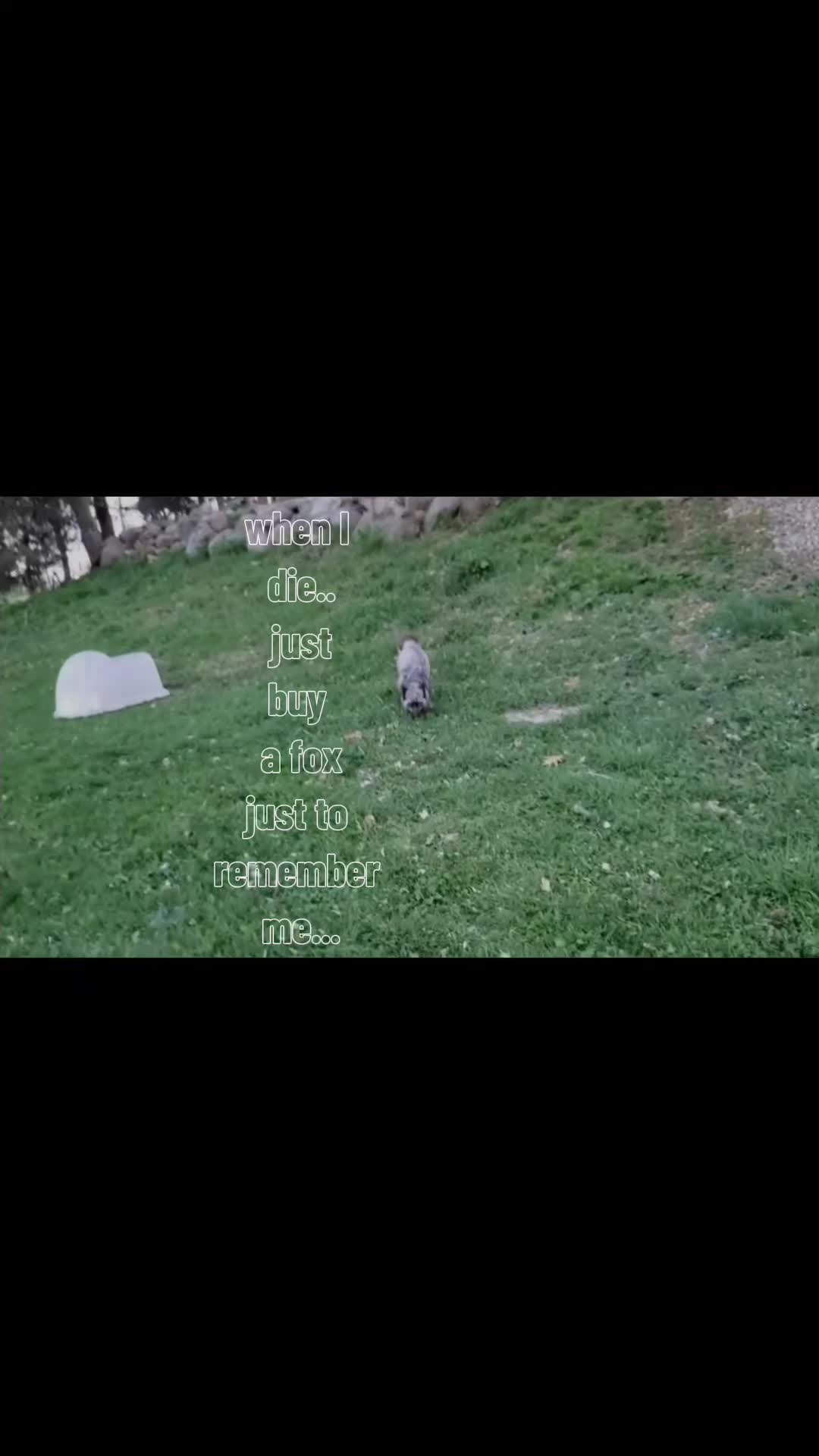 @⦻ Hollow_Lilith ⦻