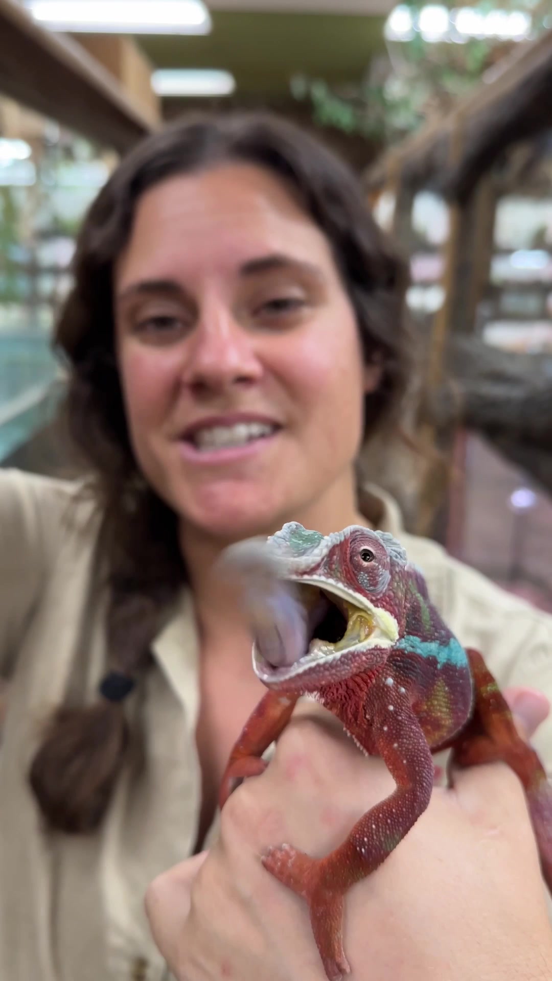 @The Reptile Zoo