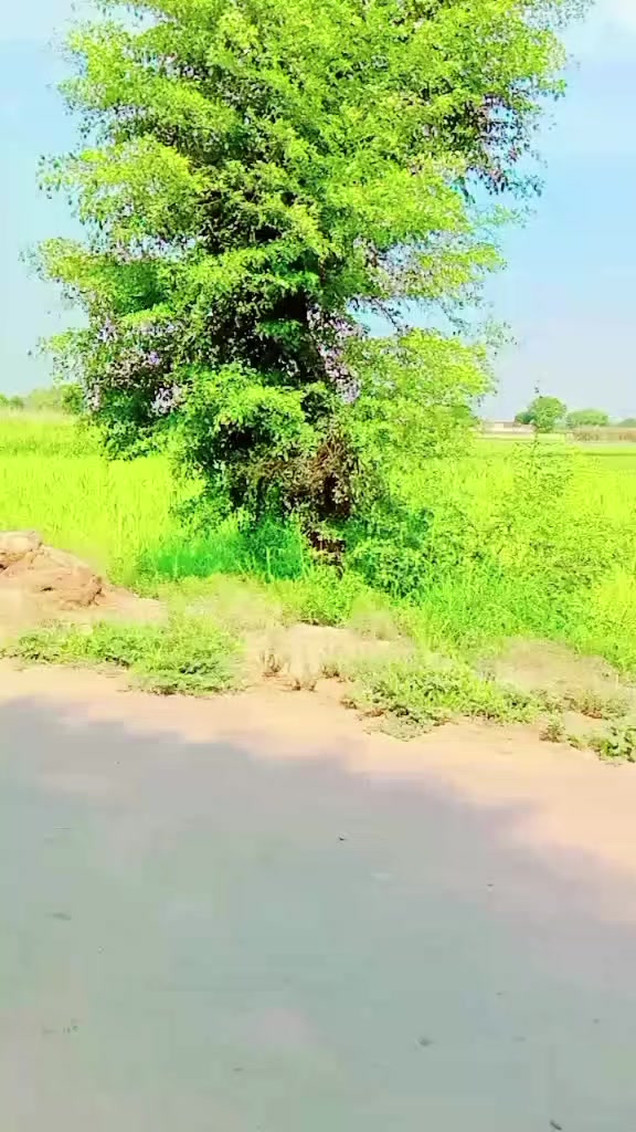 @Akhtarjaan72