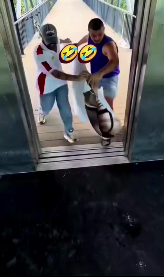 @Blackshadow_143