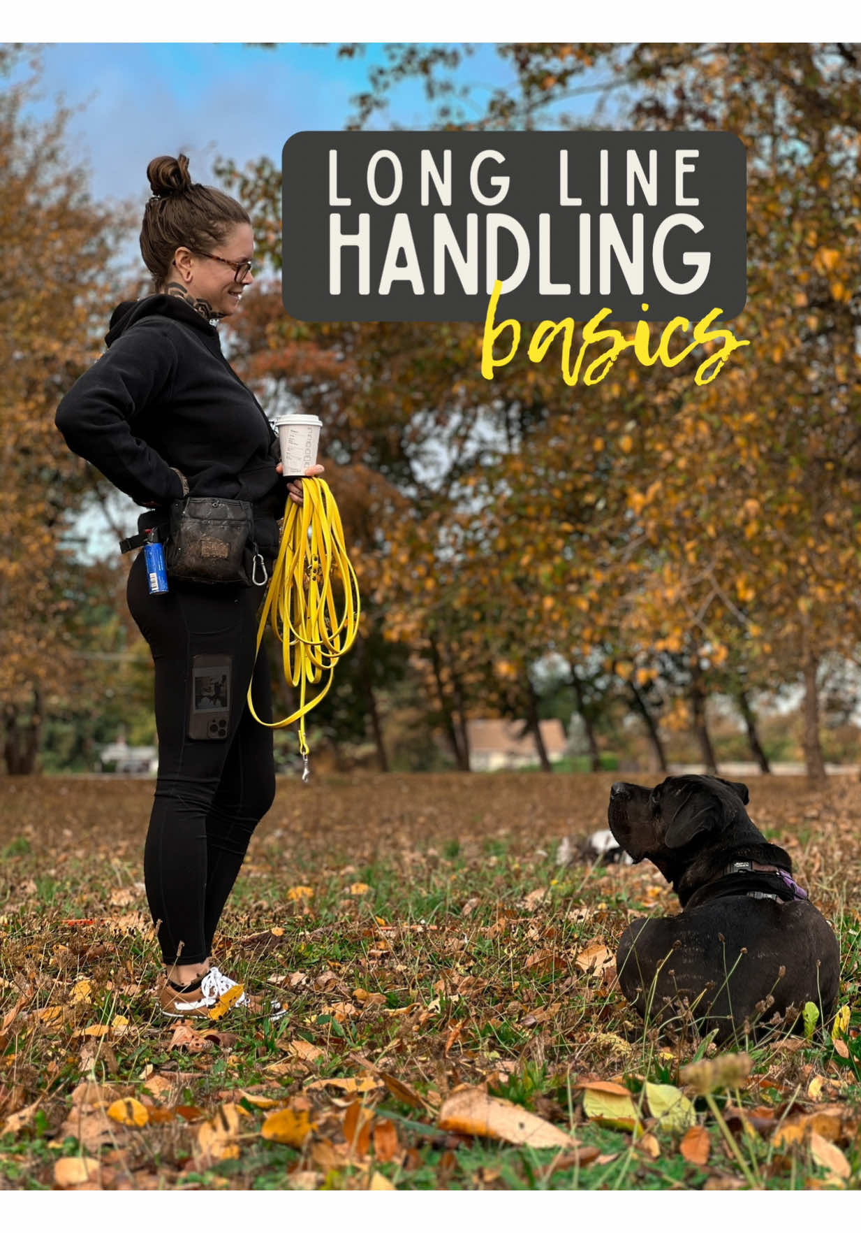 @lauren | dog behavior pro