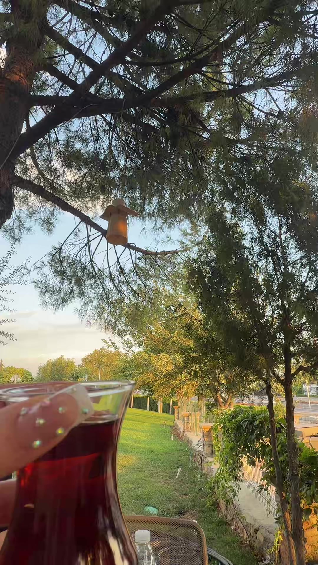 @Esma Güzel