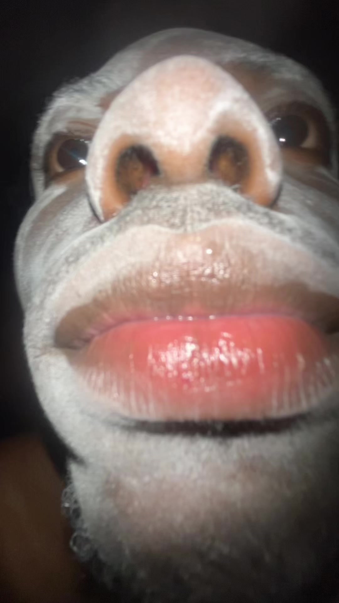 @Laglouboy