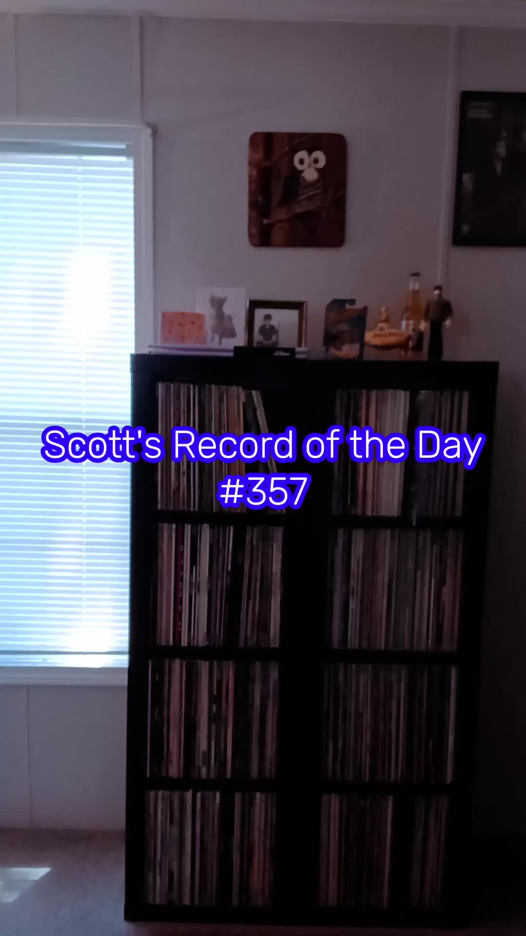 @Scott Reed ❌️