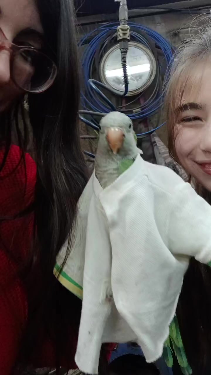 @Eveee