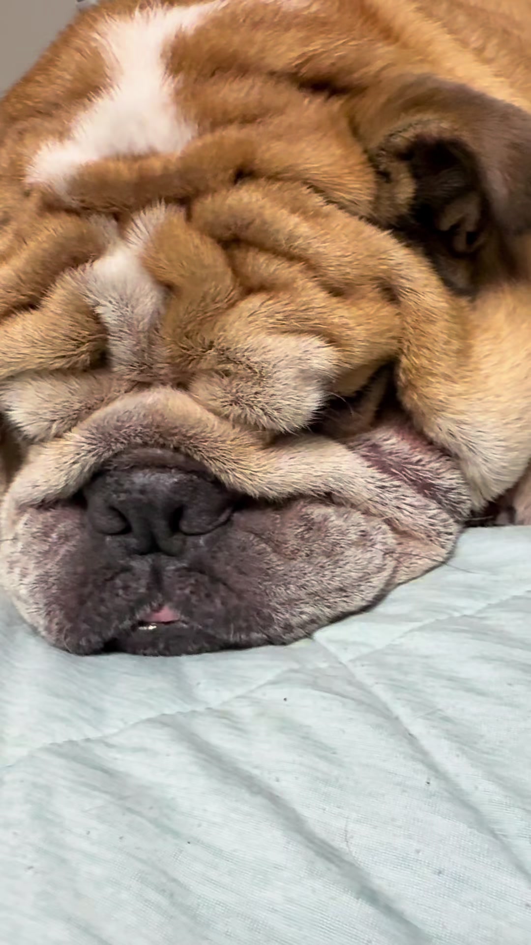 @Campeón Winston