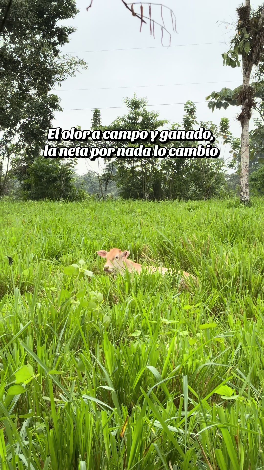 @Cuadra Casa Grande