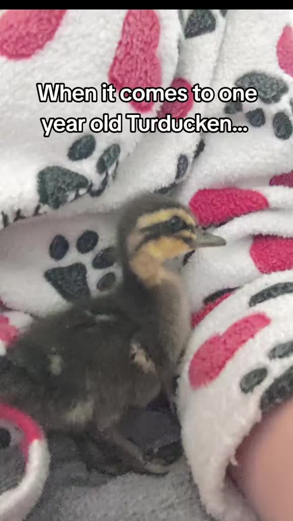 @Mother Duckers Homestead