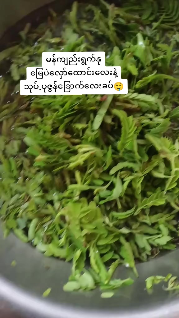 @Tha Zin Htwe