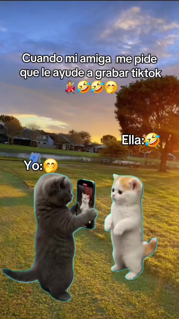 @🦊💗³⁶⁰⁻ץ𝑳𝒊𝒍💗