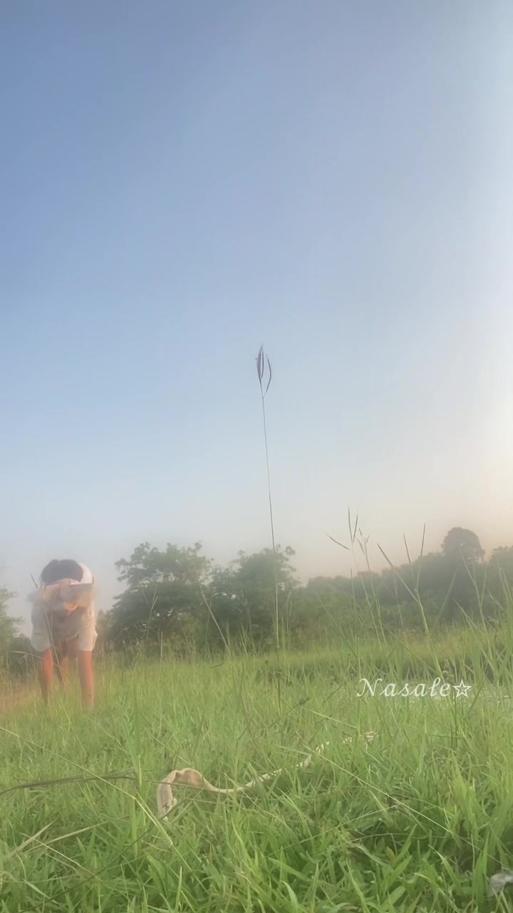 @๐ฉ๐ถ๐๐ถ๐๐โ