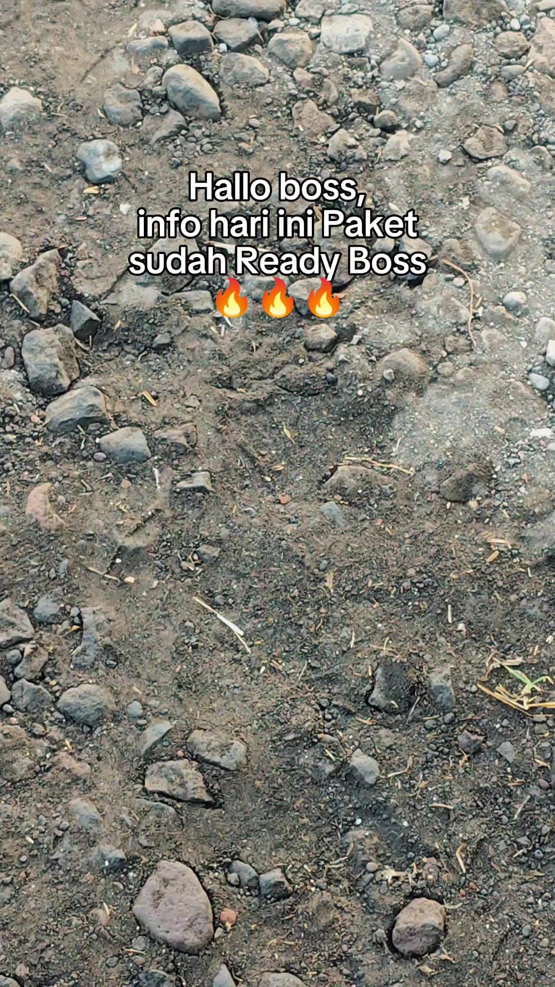 @𝙎𝙃𝙊𝙄𝙈 𝙅𝙀𝙈𝘽𝙀𝙍