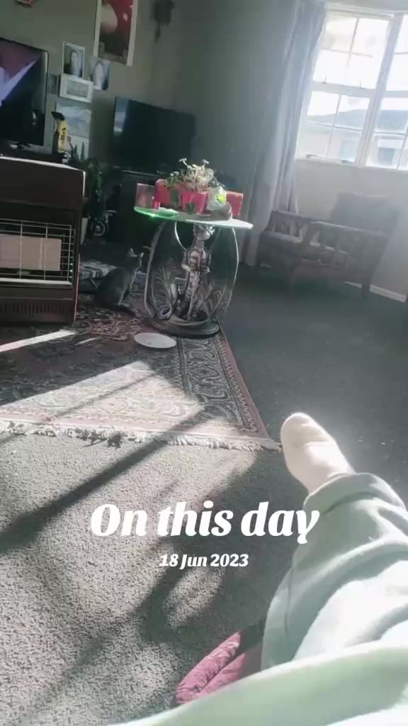 @shellyteddybear1