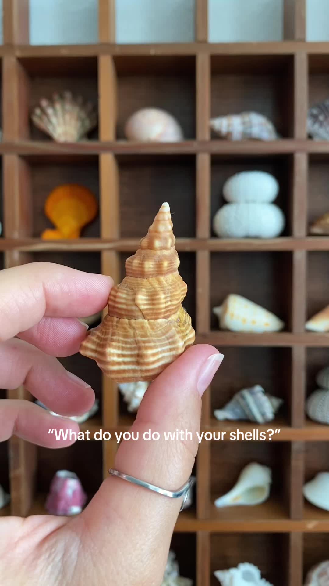@🐚Jojo🌴