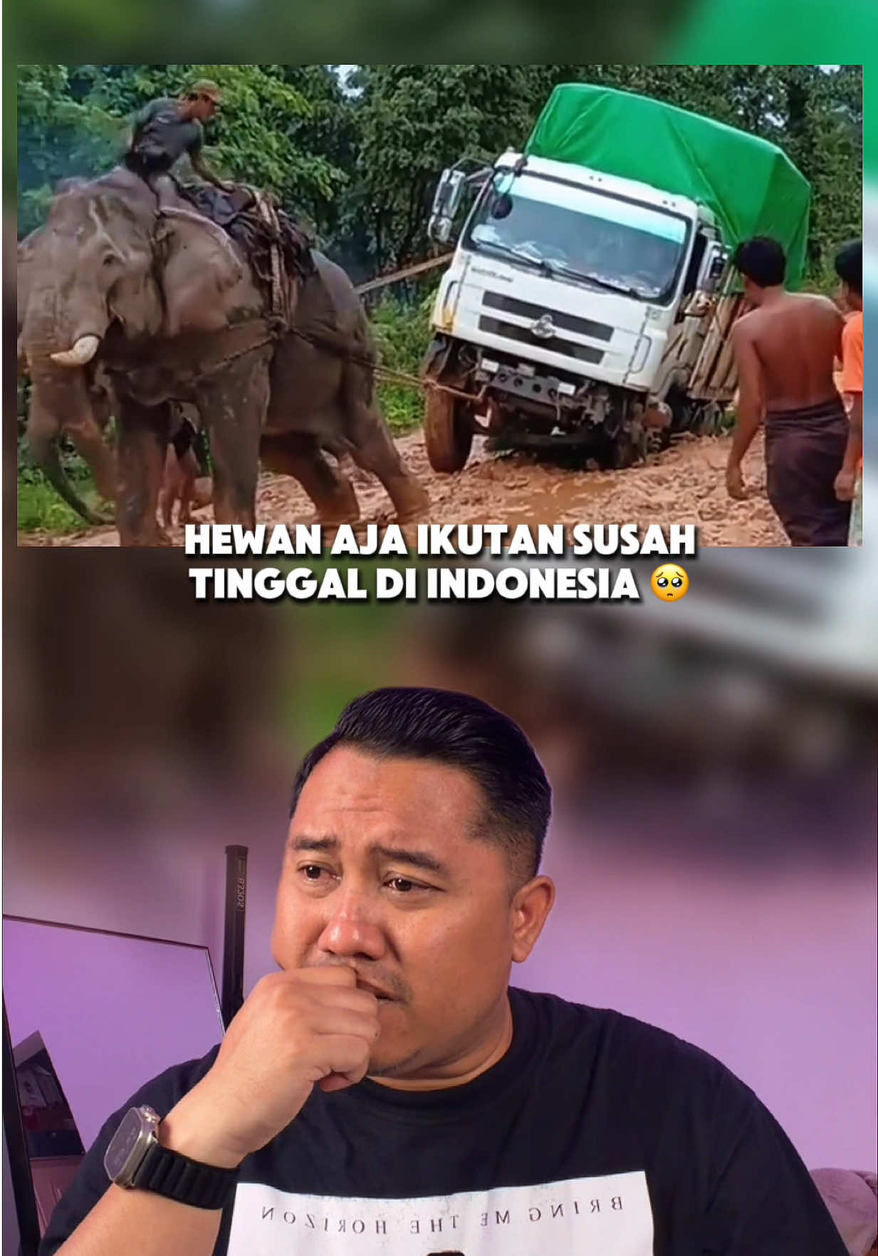 @Desta Favot