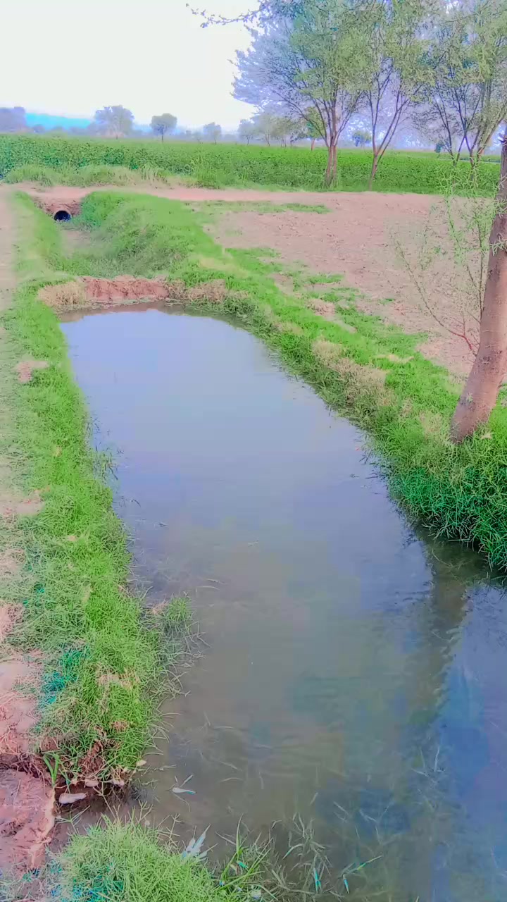 @#ChotayMeerSahab# ♥️