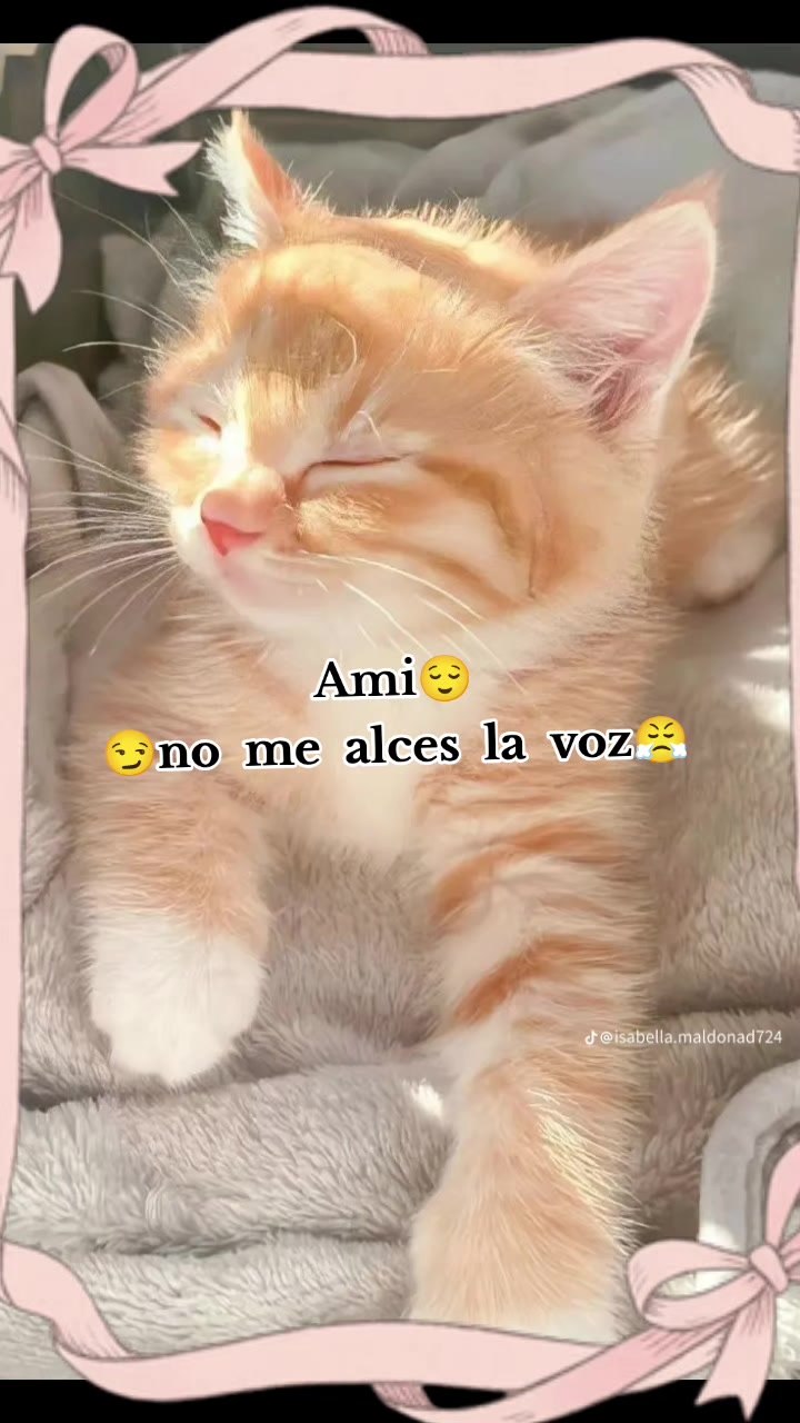 @Lourdes Garcia
