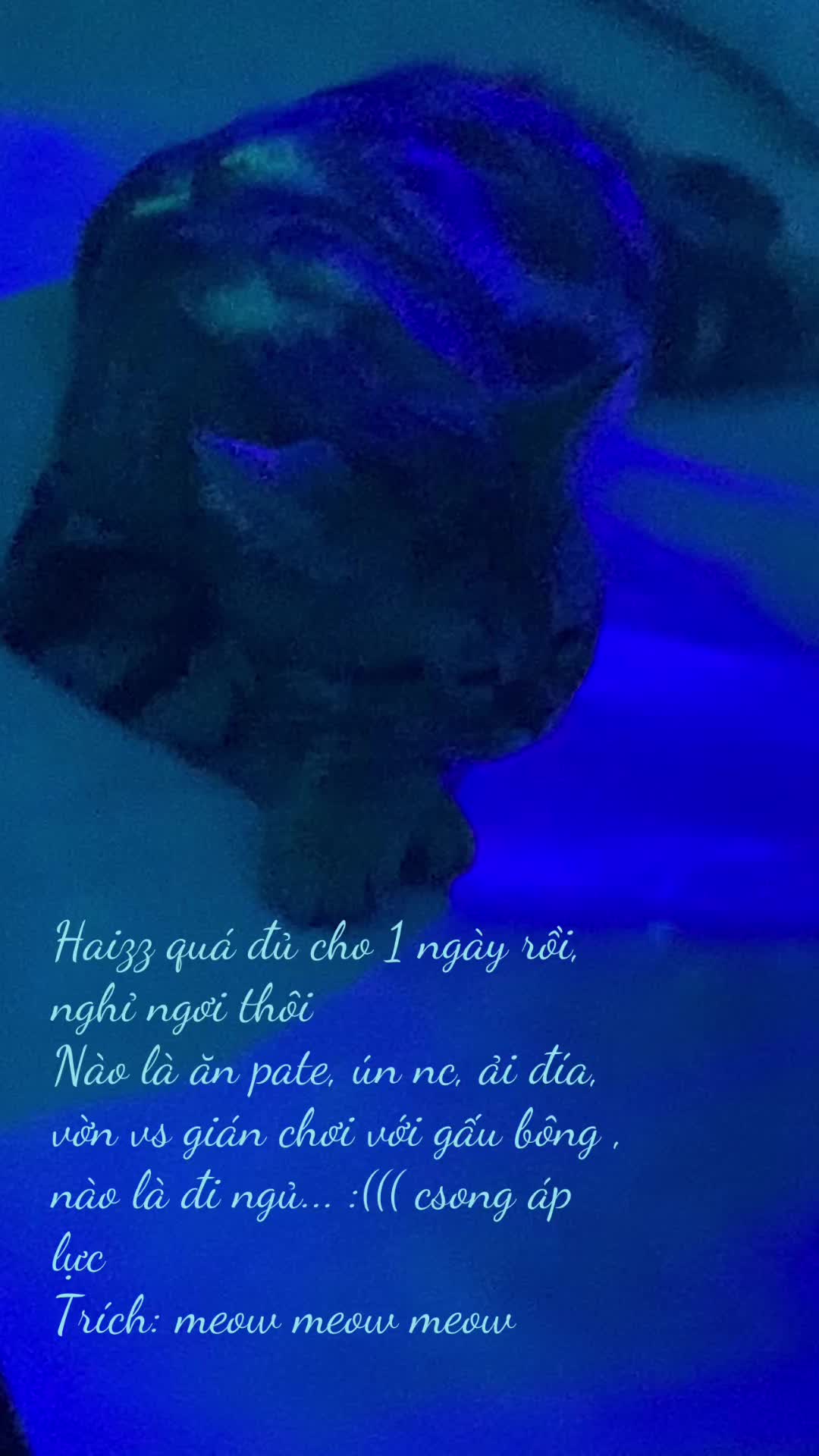 @babiGon