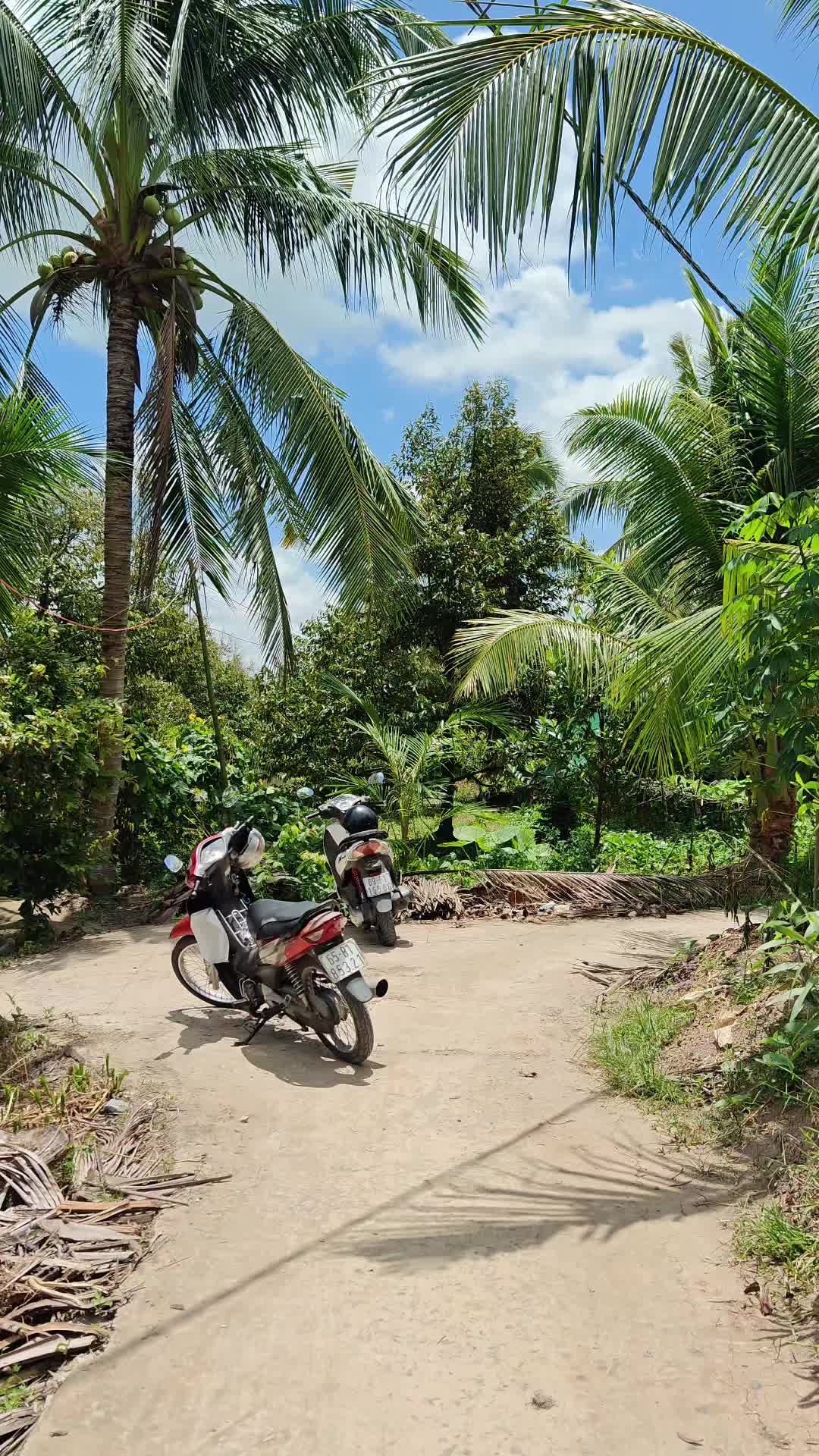 @Bất Động Sản Cần Thơ