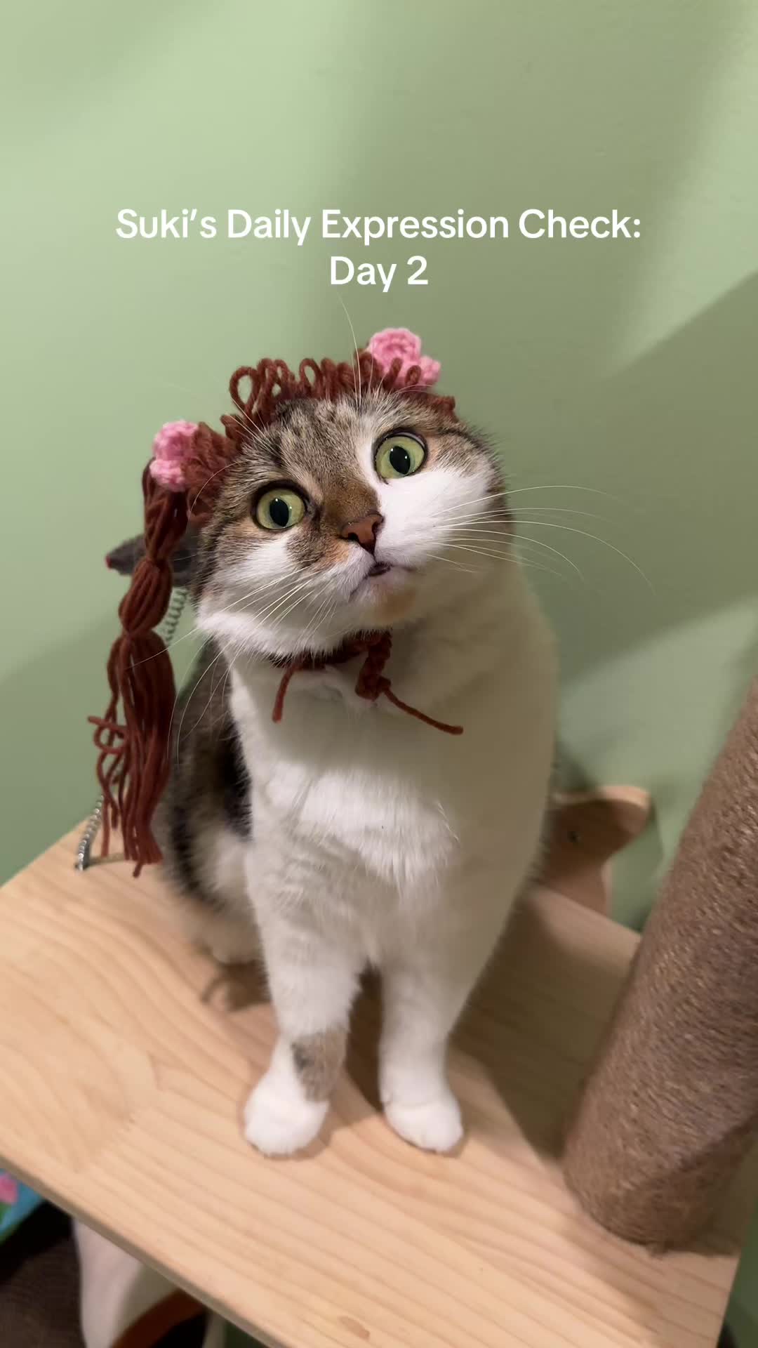 @Suki Purrs
