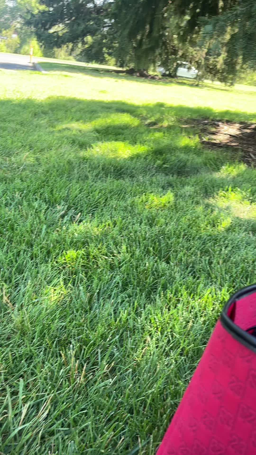 @hollywoodbadass