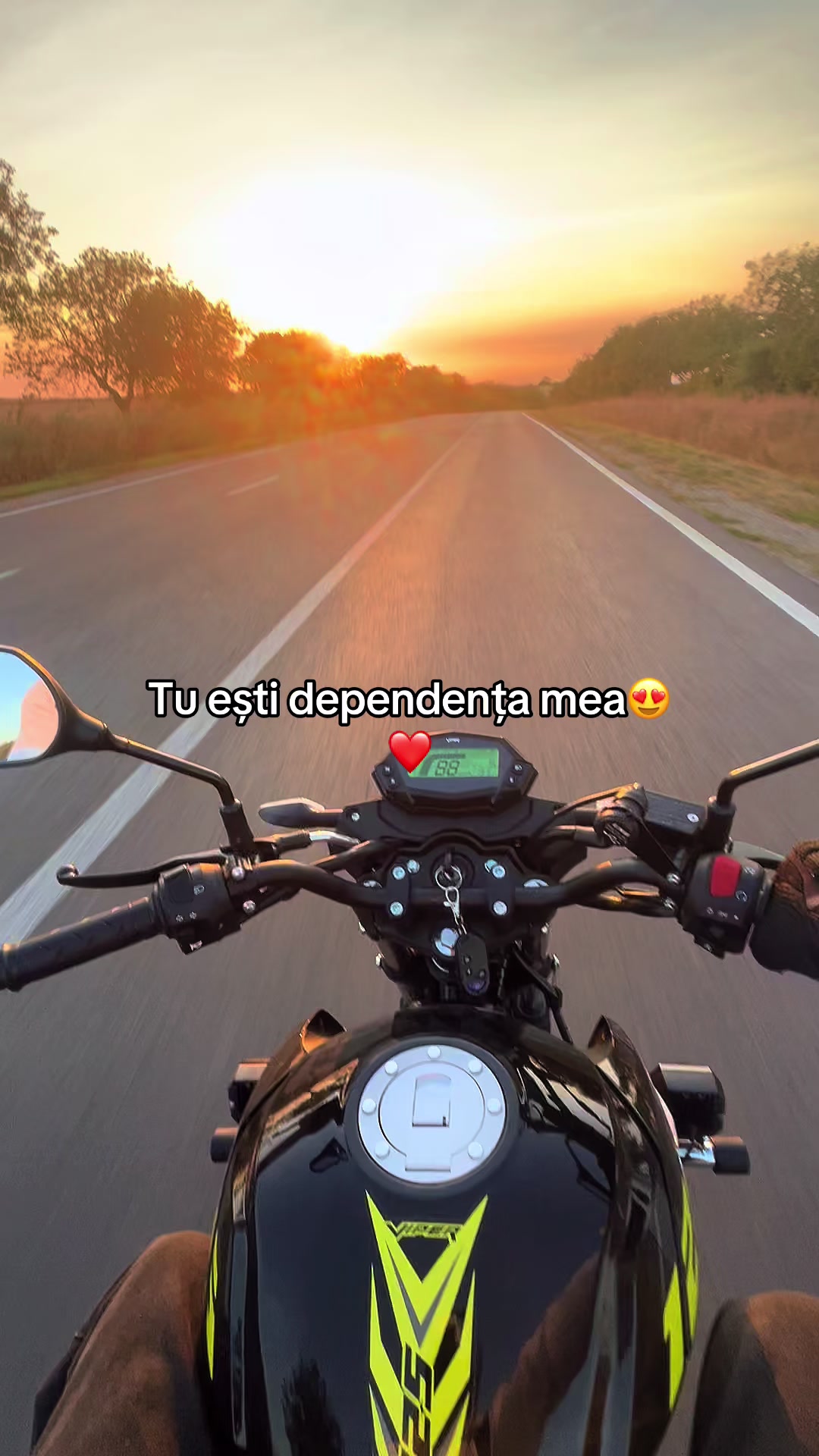@Panda_rr