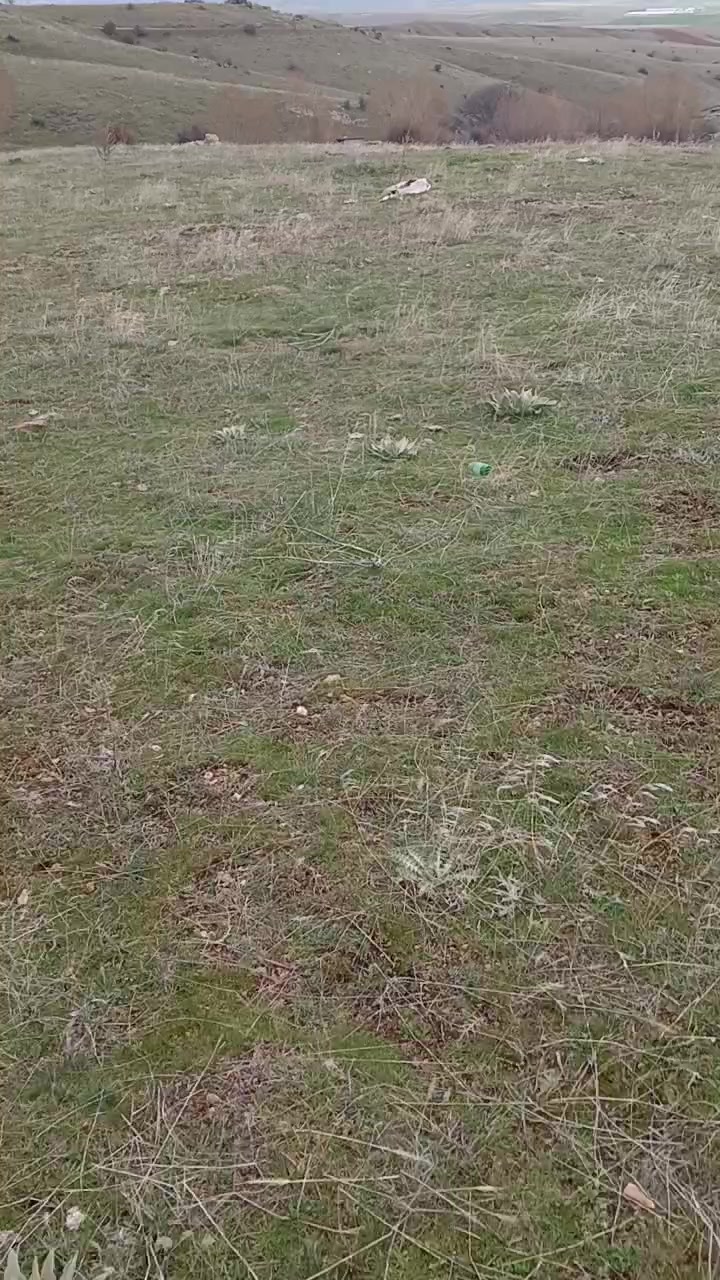 @Deniz Akpınar
