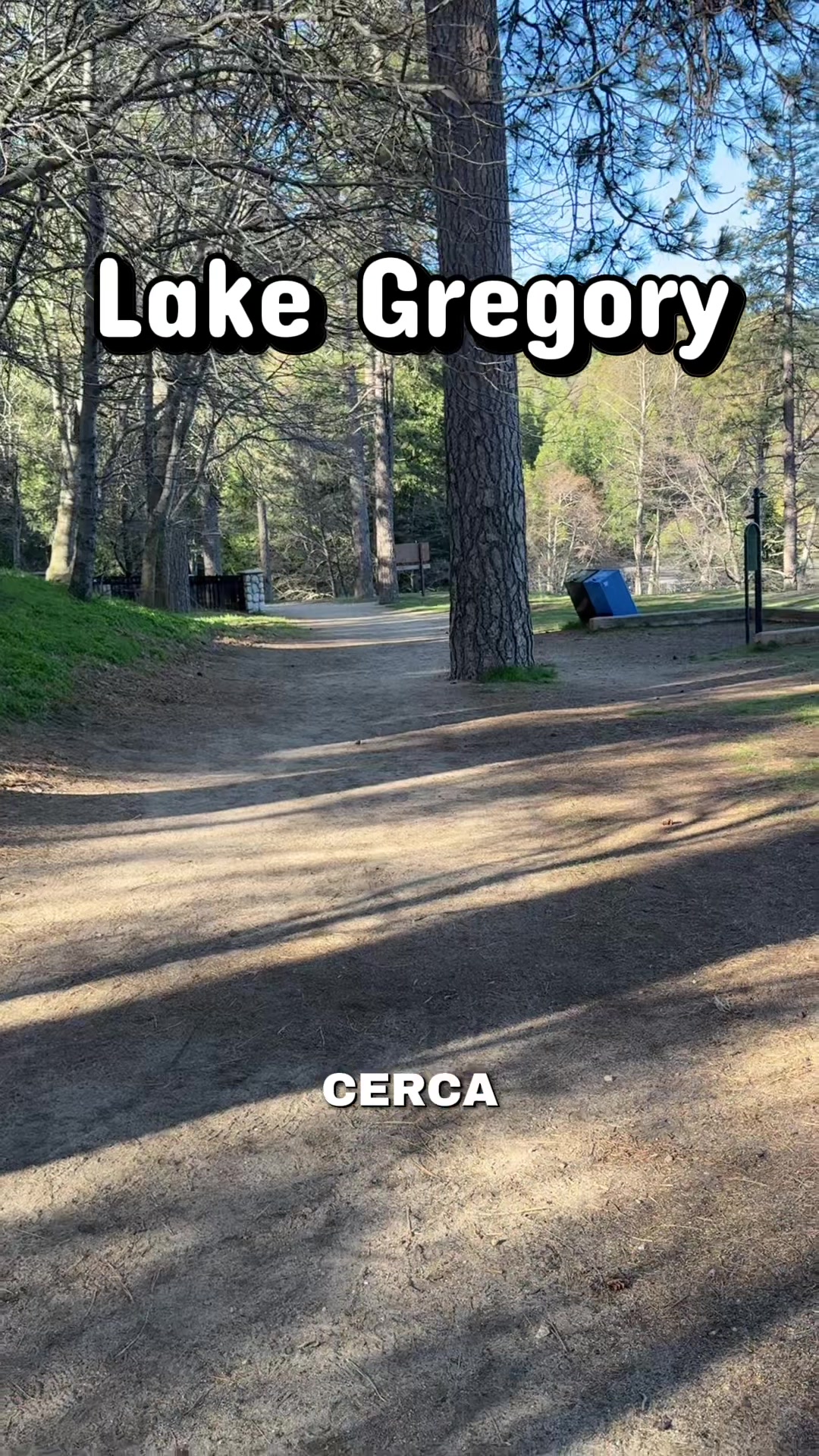 @Freddy