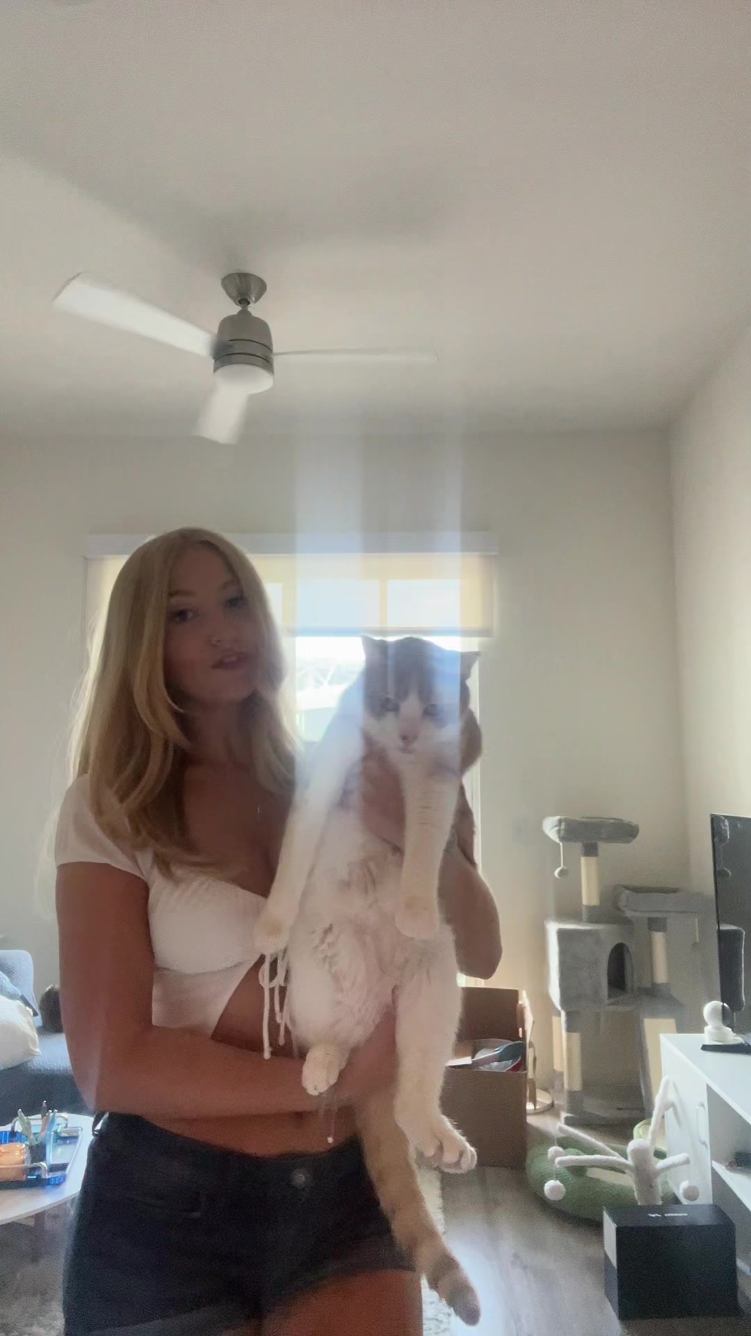 @cait