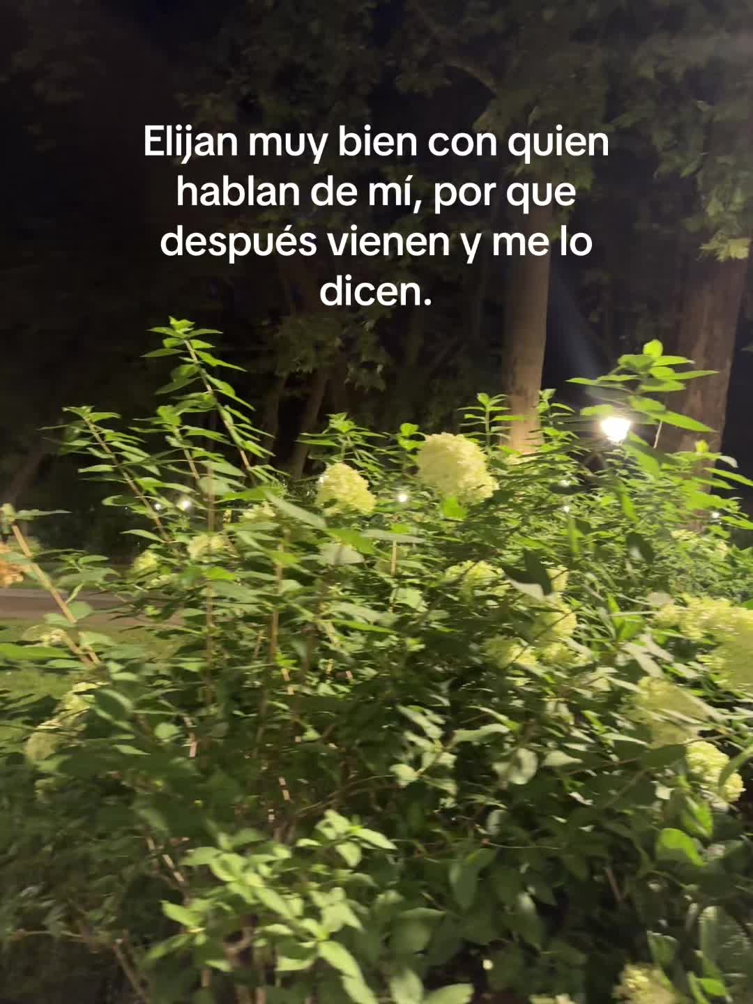 @flakita aly♋️🇪🇸🇬🇹