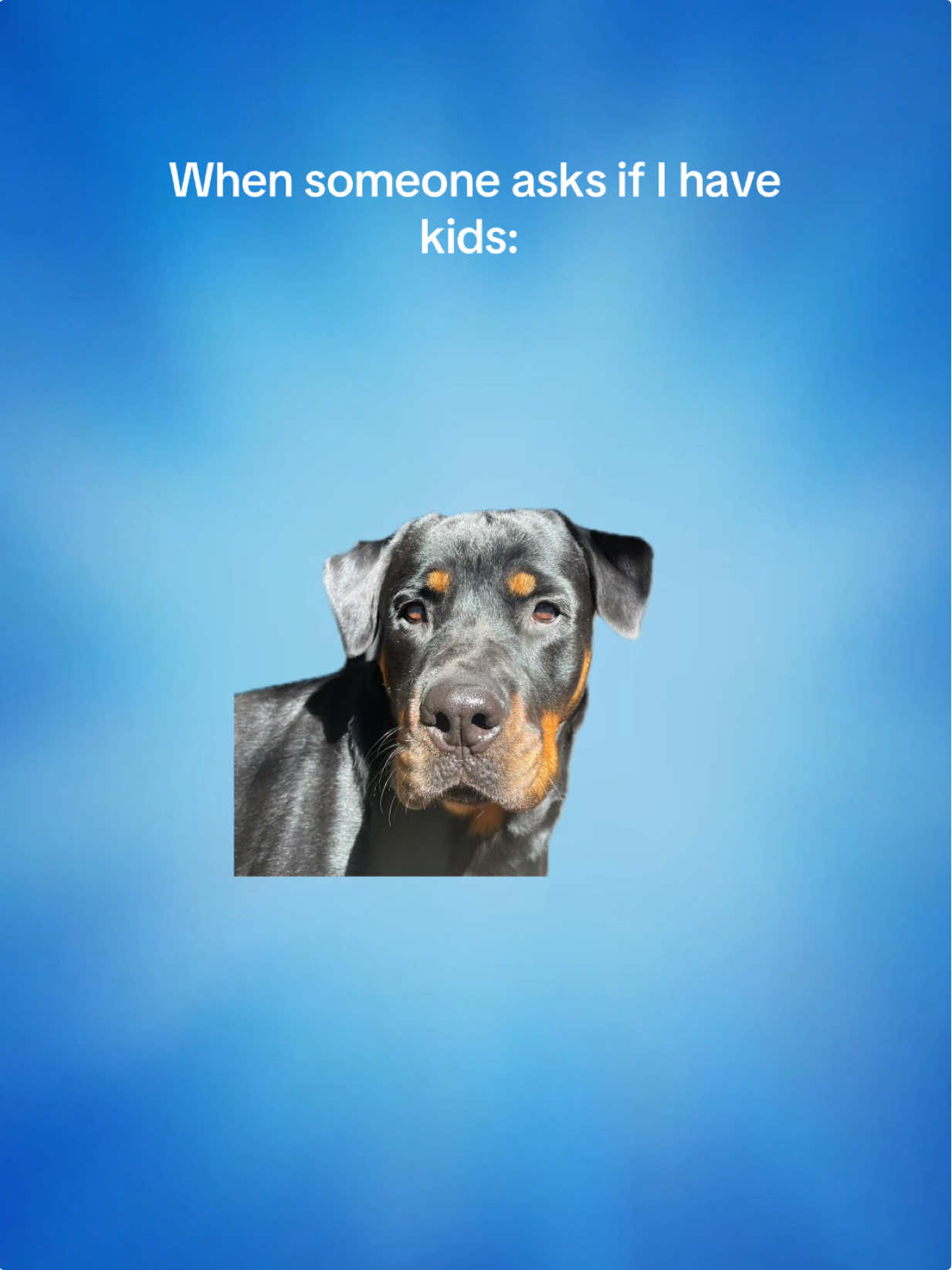 @Mia the Rottie