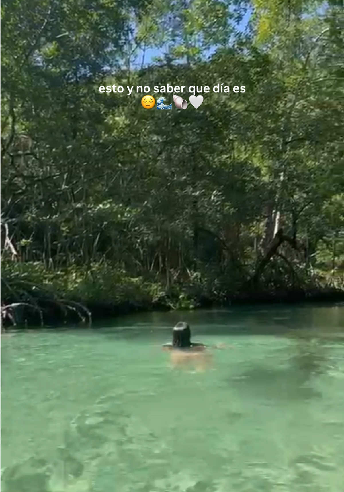 @Cami | Travel & Work