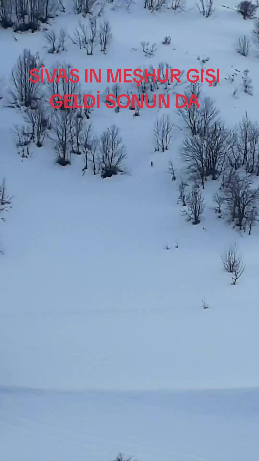 @huseyin58584