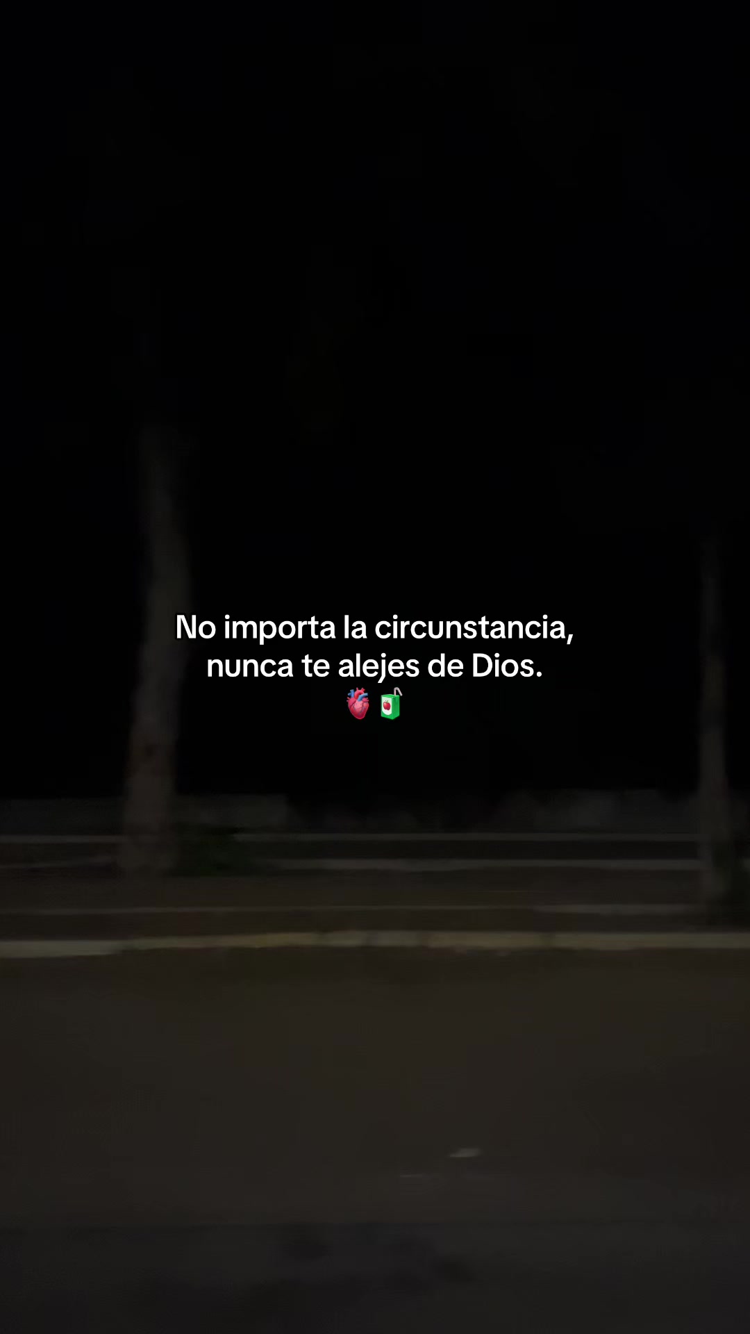 @Gatocix 🐱