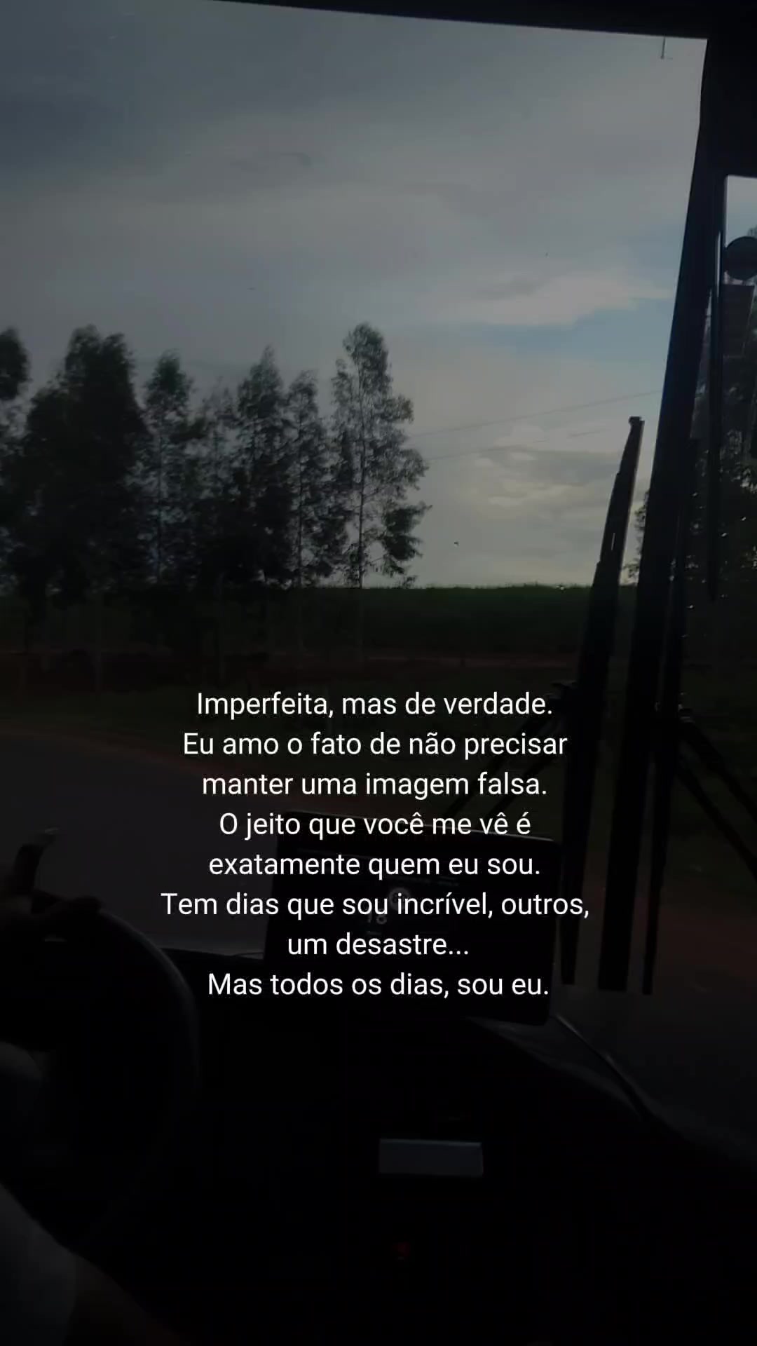 @Evelyn Ferreira 🧿