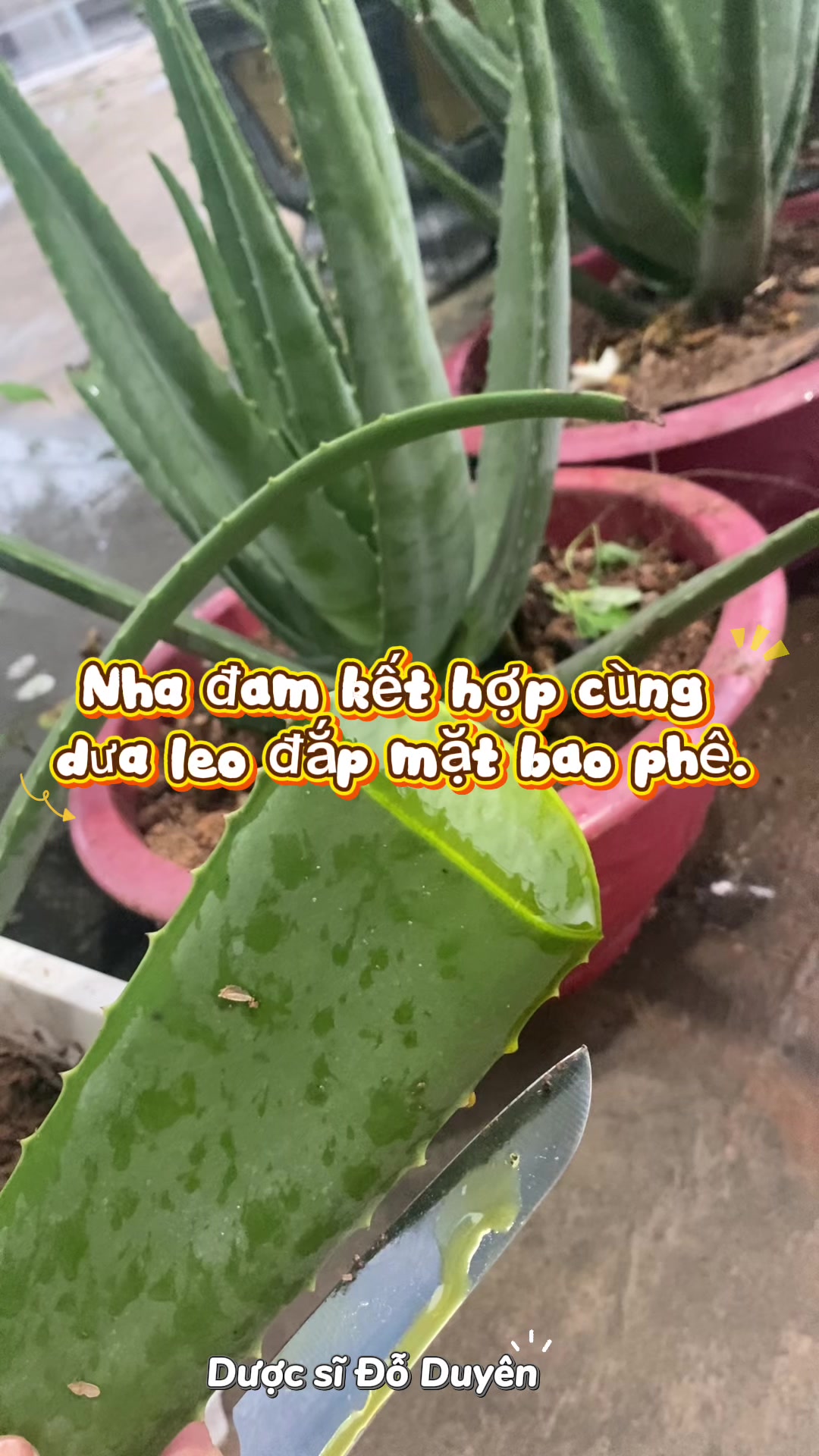@C&ocirc; Dược Sĩ Duy&ecirc;n💊