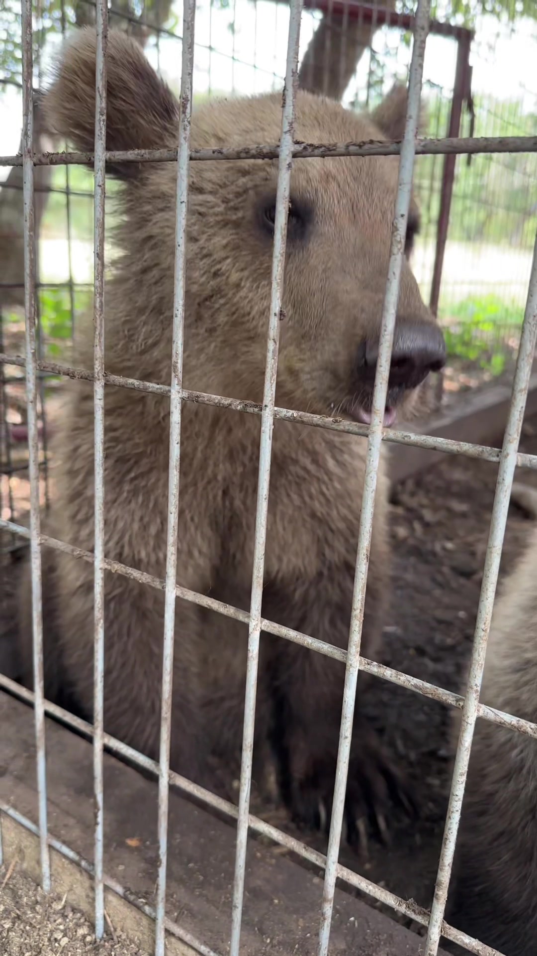 @Texas Wildlife Park