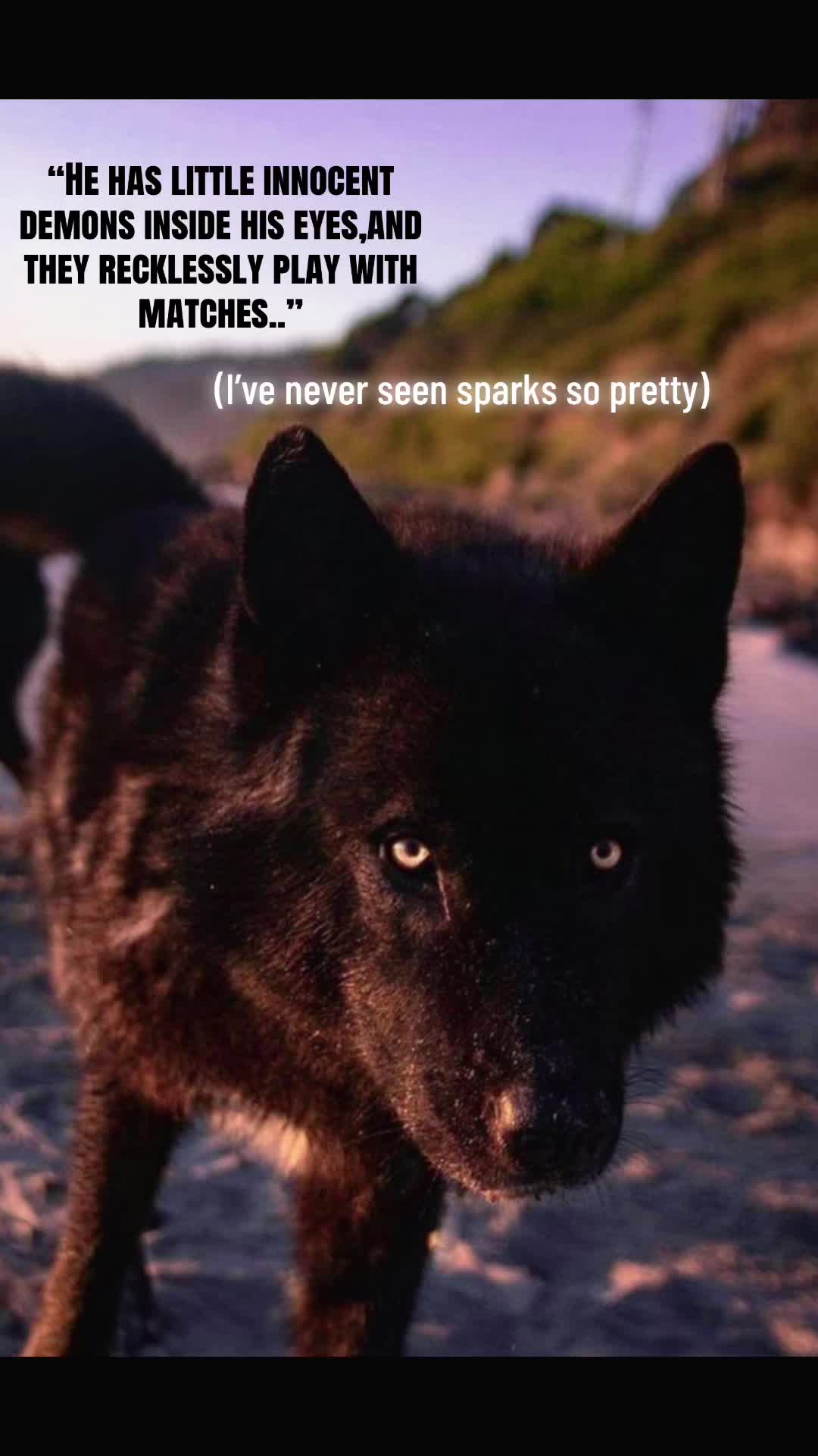@🪬Conscious_LoneWolf🐺