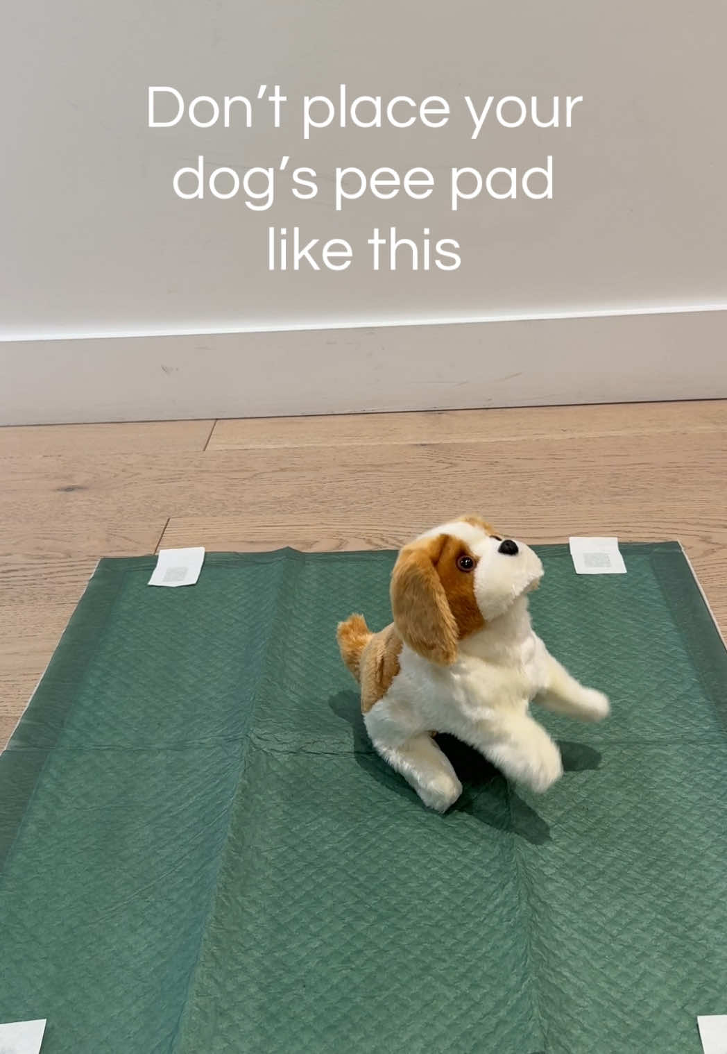 @earthrated