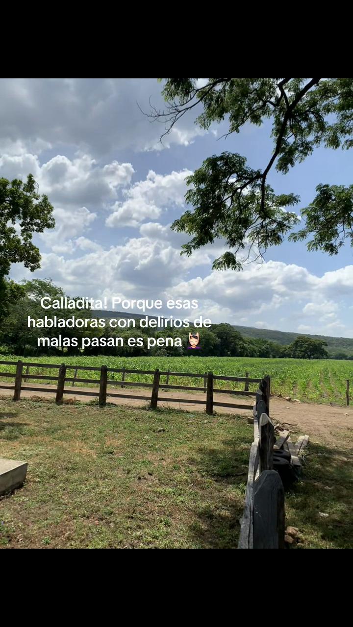 @DF🫧