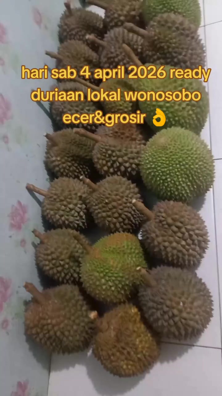 @pono duriaan wsb 🇲🇨🆗🔄🔂☎️