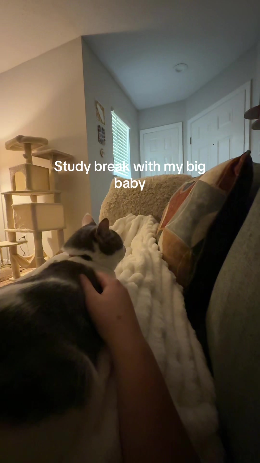 @bluebaries14
