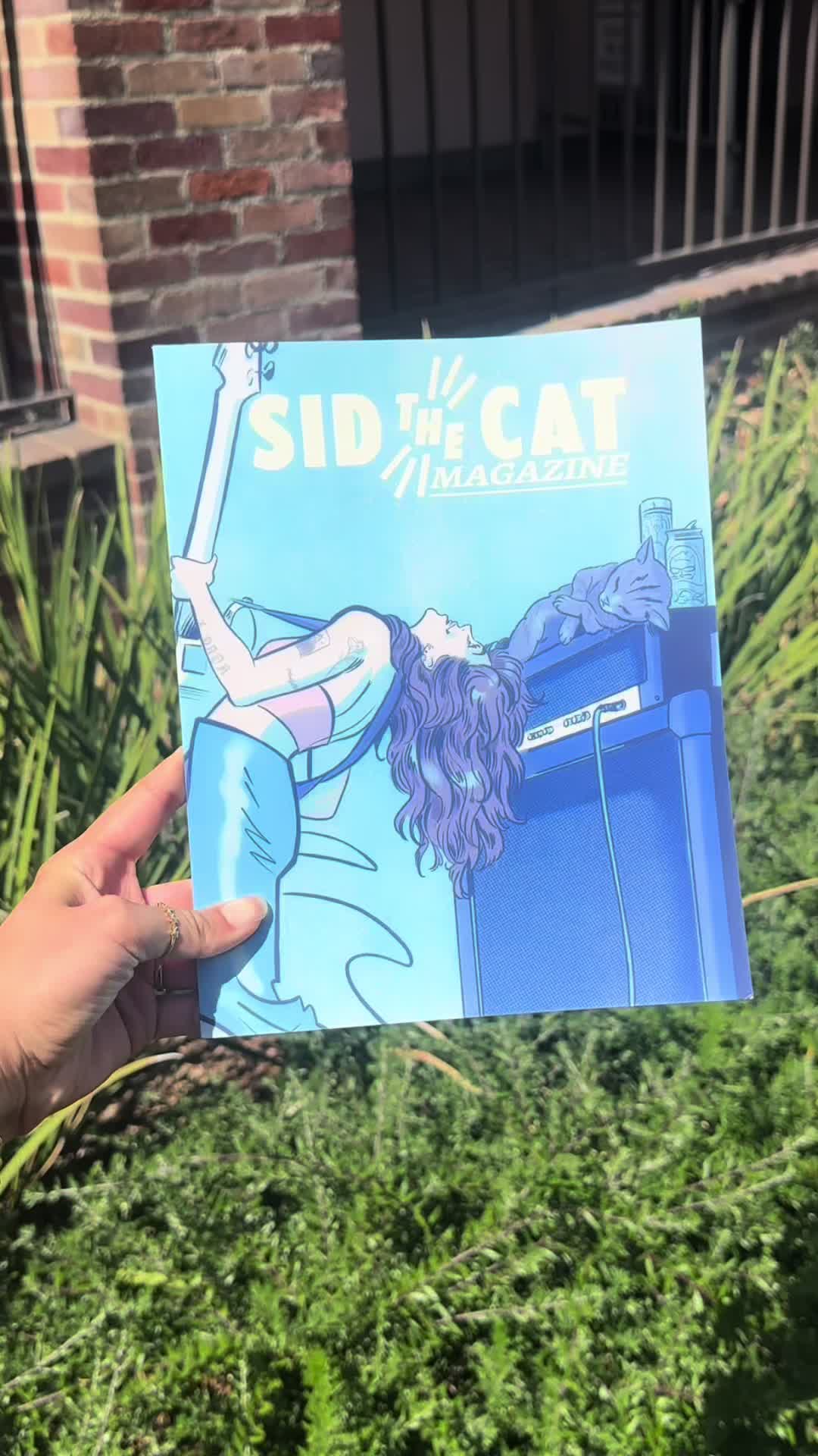 @˗ˏˋ Sid The Cat ˊˎ˗