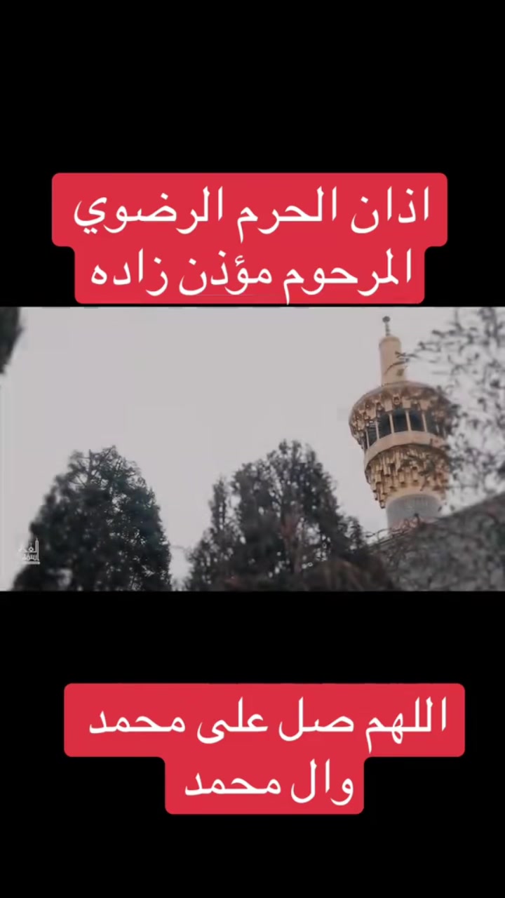 @جدوار. Zedoary.