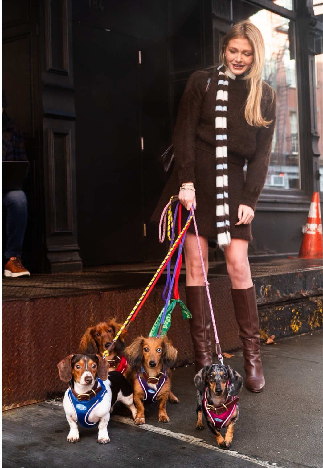 @The Dogist