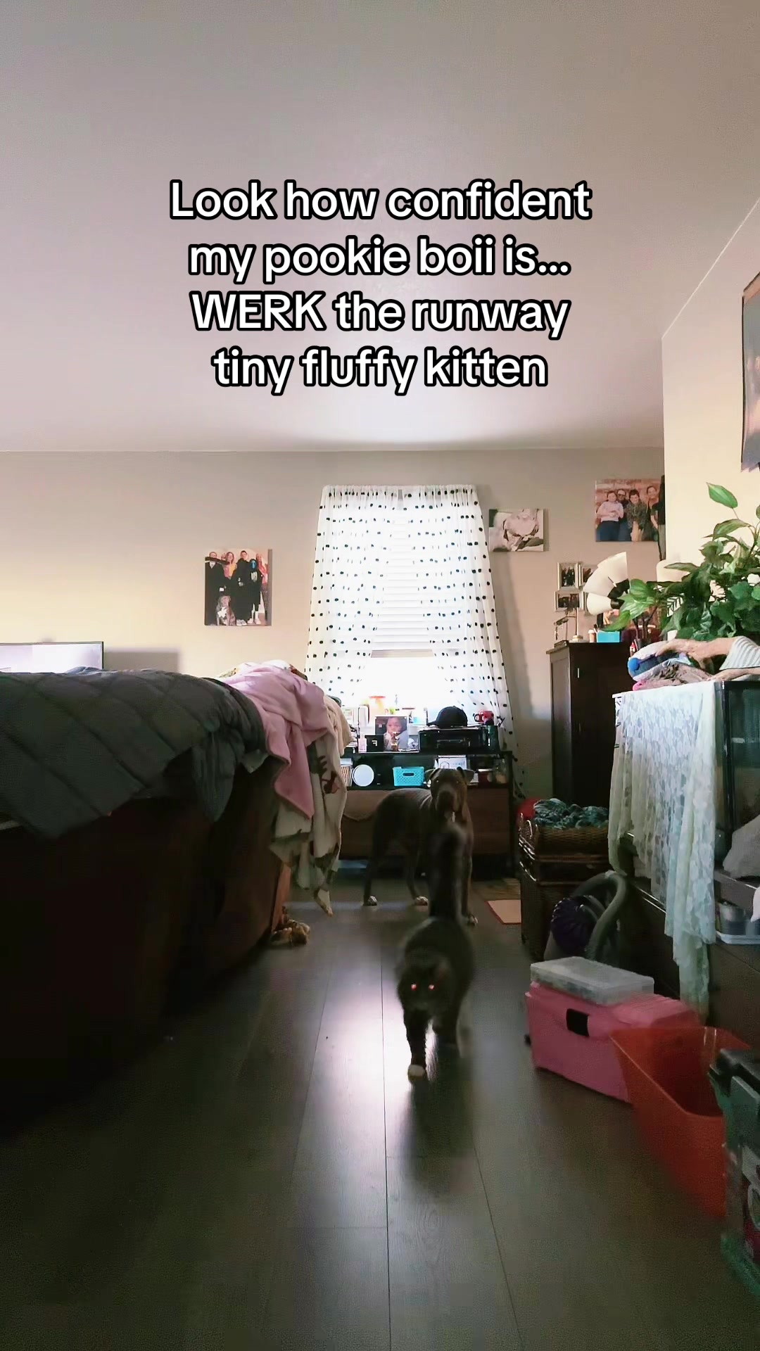 @ADHDgoesWoman