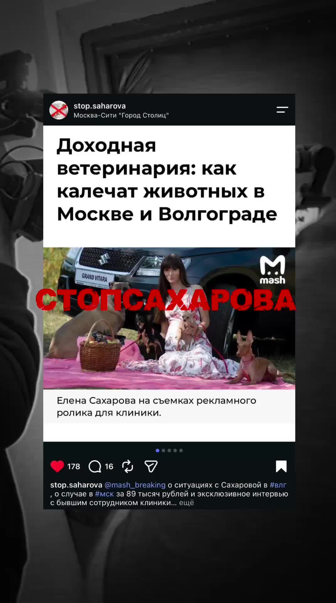 @Rina Barskaia