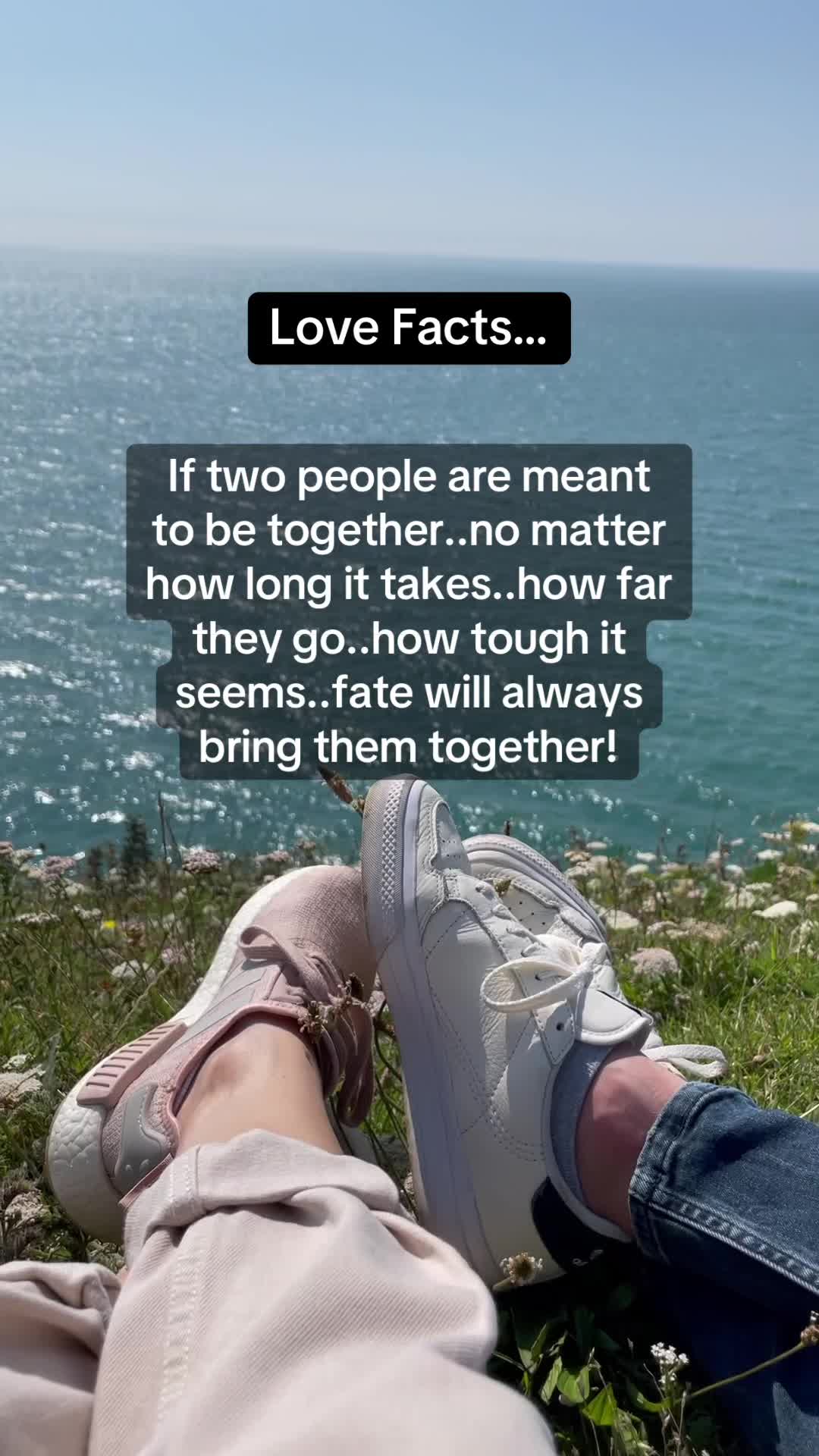 @Factsflow